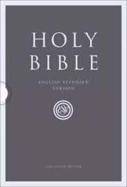 Esv Compact Bible Revised Two Tone Ed