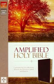 Amplified Holy Bible, Bonded Leather, Burgundy, Thumb Indexe