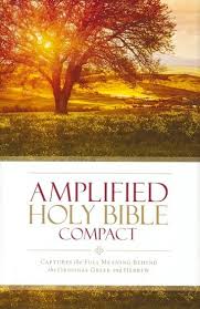 Amplified Holy Bible, Compact, Hardcover